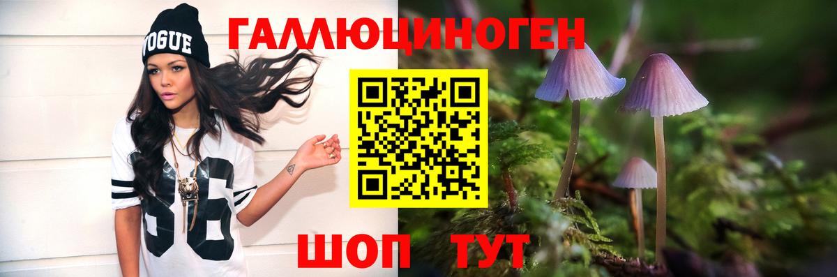 Галлюциногенные грибы прущие грибы Усть-Илимск